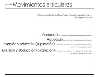 Articulaciones y movimientos