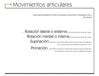 Articulaciones y movimientos