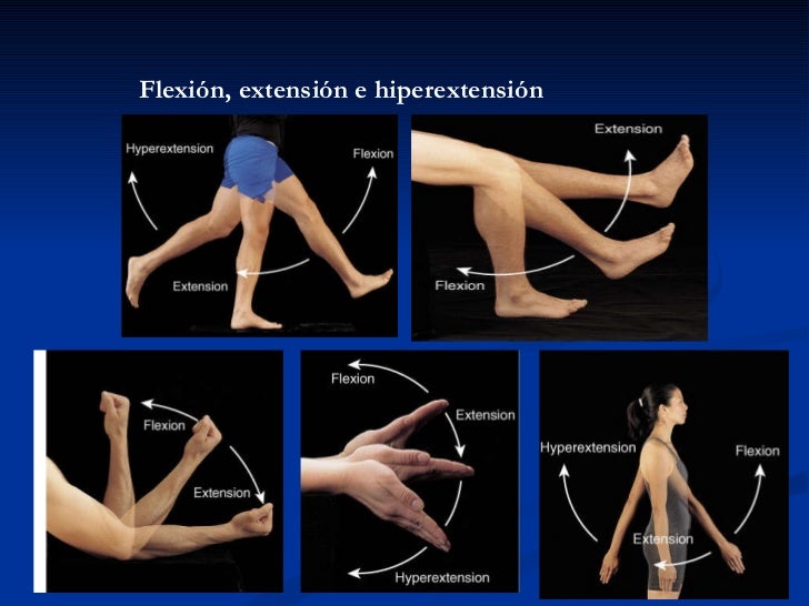 Analisis De Movimiento Flexion De Hombro