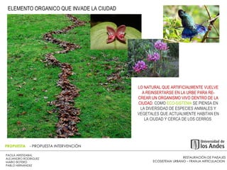 LO NATURAL QUE ARTIFICIALMENTE VUELVE A REINSERTARSE EN LA URBE PARA RE-CREAR UN ORGANISMO VIVO DENTRO DE LA CIUDAD .  COMO  ECO-SISTEMA  SE PIENSA EN LA DIVERSIDAD DE ESPECIES ANIMALES Y VEGETALES QUE ACTUALMENTE HABITAN EN LA CIUDAD Y CERCA DE LOS CERROS  RESTAURACIÓN DE PAISAJES ECOSISTEMA URBANO – FRANJA ARTICULACION  PAOLA ARISTIZABAL  ALEJANDRO RODRIGUEZ  MARIO BOTERO  PABLO HERNÁNDEZ  PROPUESTA  - PROPUESTA INTERVENCIÓN ELEMENTO ORGANICO QUE INVADE LA CIUDAD  