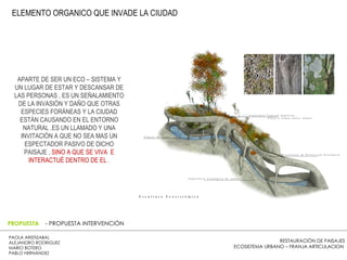 RESTAURACIÓN DE PAISAJES ECOSISTEMA URBANO – FRANJA ARTICULACION  PAOLA ARISTIZABAL  ALEJANDRO RODRIGUEZ  MARIO BOTERO  PABLO HERNÁNDEZ  PROPUESTA  - PROPUESTA INTERVENCIÓN APARTE DE SER UN ECO – SISTEMA Y UN LUGAR DE ESTAR Y DESCANSAR DE LAS PERSONAS , ES UN SEÑALAMIENTO DE LA INVASIÓN Y DAÑO QUE OTRAS ESPECIES FORÁNEAS Y LA CIUDAD ESTÁN CAUSANDO EN EL ENTORNO NATURAL .ES UN LLAMADO Y UNA INVITACIÓN A QUE NO SEA MAS UN ESPECTADOR PASIVO DE DICHO PAISAJE ,  SINO A QUE SE VIVA  E INTERACTUÉ DENTRO DE EL . ELEMENTO ORGANICO QUE INVADE LA CIUDAD  