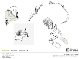 RESTAURACIÓN DE PAISAJES ECOSISTEMA URBANO – FRANJA ARTICULACION  PAOLA ARISTIZABAL  ALEJANDRO RODRIGUEZ  MARIO BOTERO  PABLO HERNÁNDEZ  PROPUESTA  - PROPUESTA INTERVENCIÓN 