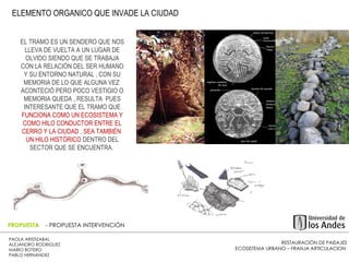 RESTAURACIÓN DE PAISAJES ECOSISTEMA URBANO – FRANJA ARTICULACION  PAOLA ARISTIZABAL  ALEJANDRO RODRIGUEZ  MARIO BOTERO  PABLO HERNÁNDEZ  PROPUESTA  - PROPUESTA INTERVENCIÓN EL TRAMO ES UN SENDERO QUE NOS LLEVA DE VUELTA A UN LUGAR DE OLVIDO SIENDO QUE SE TRABAJA CON LA RELACIÓN DEL SER HUMANO Y SU ENTORNO NATURAL , CON SU MEMORIA DE LO QUE ALGUNA VEZ  ACONTECIÓ PERO POCO VESTIGIO O MEMORIA QUEDA , RESULTA  PUES INTERESANTE QUE EL TRAMO QUE  FUNCIONA COMO UN ECOSISTEMA Y COMO HILO CONDUCTOR ENTRE EL CERRO Y LA CIUDAD , SEA TAMBIÉN  UN HILO HISTÓRICO  DENTRO DEL SECTOR QUE SE ENCUENTRA.  ELEMENTO ORGANICO QUE INVADE LA CIUDAD  