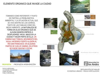 RESTAURACIÓN DE PAISAJES ECOSISTEMA URBANO – FRANJA ARTICULACION  PAOLA ARISTIZABAL  ALEJANDRO RODRIGUEZ  MARIO BOTERO  PABLO HERNÁNDEZ  PROPUESTA  - PROPUESTA INTERVENCIÓN TOMANDO COMO REFERENTE Y PUNTO DE PARTIDA LA PROBLEMÁTICA AMBIENTAL Y LA SITUACIÓN ACTUAL QUE SE VIVE DENTRO DE LOS CERROS, TANTO DE LAS FAMILIAS COMO DEL MEDIO AMBIENTE,  LA NATURALEZA SE TORNA EN ALGO ORGÁNICO QUE DE ALGUNA MANERA EMPIEZA A ‘DESPLAZARSE’ HACIA  ABAJO EN LA CIUDAD Y HACER PARTE DE ELLA .   UN CAMINO QUE TOMA EL MOVIMIENTO DEL AGUA, HACIENDO FUERTE ALUSIÓN AL RÍO SAN FRANCISCO. EN ALGUNAS PARTES SE VUELVE CAMINO, EN OTROS SE PUEDE SENTAR Y ESTAR.  ELEMENTO ORGANICO QUE INVADE LA CIUDAD  