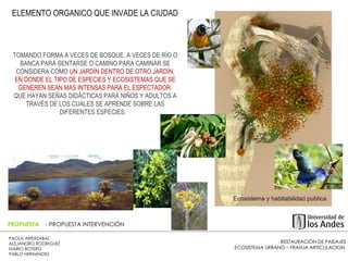 RESTAURACIÓN DE PAISAJES ECOSISTEMA URBANO – FRANJA ARTICULACION  PAOLA ARISTIZABAL  ALEJANDRO RODRIGUEZ  MARIO BOTERO  PABLO HERNÁNDEZ  PROPUESTA  - PROPUESTA INTERVENCIÓN TOMANDO FORMA A VECES DE BOSQUE, A VECES DE RÍO O BANCA PARA SENTARSE O CAMINO PARA CAMINAR SE CONSIDERA COMO  UN JARDÍN DENTRO DE OTRO JARDÍN, EN DONDE EL TIPO DE ESPECIES Y ECOSISTEMAS QUE SE GENEREN SEAN MAS INTENSAS PARA EL ESPECTADOR.  QUE HAYAN SEÑAS DIDÁCTICAS PARA NIÑOS Y ADULTOS A TRAVÉS DE LOS CUALES SE APRENDE SOBRE LAS DIFERENTES ESPECIES.  ELEMENTO ORGANICO QUE INVADE LA CIUDAD  