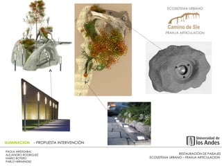 RESTAURACIÓN DE PAISAJES ECOSISTEMA URBANO – FRANJA ARTICULACION  PAOLA ARISTIZABAL  ALEJANDRO RODRIGUEZ  MARIO BOTERO  PABLO HERNÁNDEZ  ILUMINACION  - PROPUESTA INTERVENCIÓN ECOSISTEMA URBANO  FRANJA ARTICULACION  