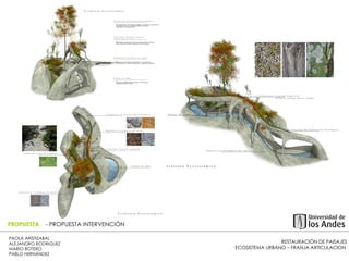 RESTAURACIÓN DE PAISAJES ECOSISTEMA URBANO – FRANJA ARTICULACION  PAOLA ARISTIZABAL  ALEJANDRO RODRIGUEZ  MARIO BOTERO  PABLO HERNÁNDEZ  PROPUESTA  - PROPUESTA INTERVENCIÓN 