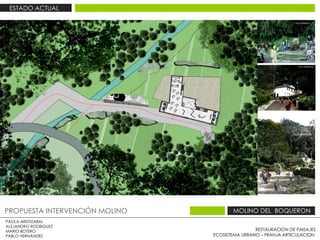 RESTAURACIÓN DE PAISAJES ECOSISTEMA URBANO – FRANJA ARTICULACION  PAOLA ARISTIZABAL  ALEJANDRO RODRIGUEZ  MARIO BOTERO  PABLO HERNÁNDEZ  PROPUESTA INTERVENCIÓN MOLINO  MOLINO DEL  BOQUERON  ESTADO ACTUAL  