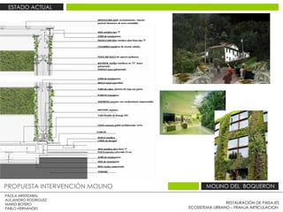 RESTAURACIÓN DE PAISAJES ECOSISTEMA URBANO – FRANJA ARTICULACION  PAOLA ARISTIZABAL  ALEJANDRO RODRIGUEZ  MARIO BOTERO  PABLO HERNÁNDEZ  PROPUESTA INTERVENCIÓN MOLINO  MOLINO DEL  BOQUERON  ESTADO ACTUAL  