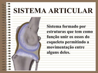SISTEMA ARTICULAR
Sistema formado por
estruturas que tem como
função unir os ossos do
esqueleto permitindo a
movimentação entre
alguns deles.
 