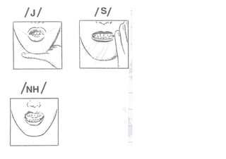 Articulacões e fonemas