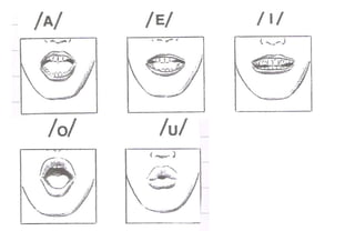 Articulacões e fonemas