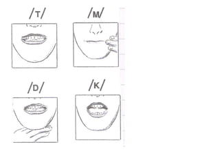 Articulacões e fonemas