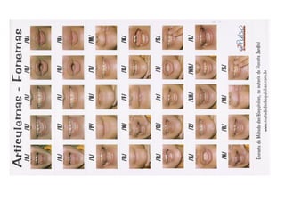 Articulacões e fonemas