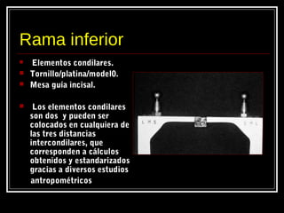 Rama inferior
 Elementos condilares.
 Tornillo/platina/model0.
 Mesa guía incisal.
 Los elementos condilares
son dos y pueden ser
colocados en cualquiera de
las tres distancias
intercondilares, que
corresponden a cálculos
obtenidos y estandarizados
gracias a diversos estudios
antropométricos
 