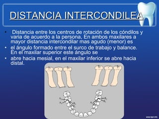 Distancia entre los centros de rotación de los cóndilos y varia de acuerdo a la persona,  En ambos maxilares a mayor distancia intercondilar mas agudo (menor) es  el ángulo formado entre el surco de trabajo y balance. En el maxilar superior este ángulo se  abre hacia mesial, en el maxilar inferior se abre hacia distal.  DISTANCIA INTERCONDILEA 