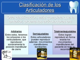 Clasificación de los Articuladores 
