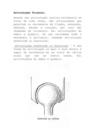 Articulação Triaxial:
Quando uma articulação realiza movimentos em
torno de três eixos. São articulações que
permitem os movimentos de flexão, extensão,
abdução, adução e rotação, por isso são
chamadas de triaxiais. Ex: articulações do
ombro e quadril. Há uma variedade onde o
movimento é poliaxial, chamada articulação
esferoide ou enartrose.
 Articulação Esferóide ou Enartrose - é uma
forma de articulação no qual o osso distal é
capaz de movimentar-se em torno de vários
eixos   que  tem   um   centro   comum.  Ex:
articulações do ombro e quadril.
 