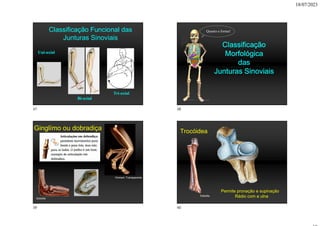 18/07/2023
Classificação Funcional das
Junturas Sinoviais
Uni-axial
Bi-axial
Tri-axial
Classificação
Morfológica
das
Junturas Sinoviais
Quanto a forma!
Ginglímo ou dobradiça
Sobotta
Homem Transparente
Trocóidea
Sobotta
Permite pronação e supinação
Rádio com a ulna
37 38
39 40
 