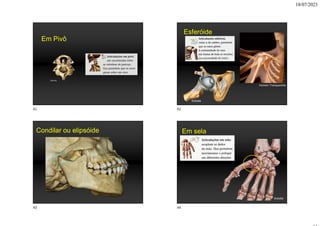 18/07/2023
Em Pivô
Sobotta
Esferóide
Sobotta
Homem Transparente
Condilar ou elipsóide Em sela
Sobotta
41 42
43 44
 