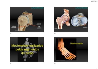 18/07/2023
CÁPSULA
ARTICULAR
CAVIDADE
ARTICULAR
COM
LÍQUIDO
SINOVIAL
Junturas Sinoviais
Sobotta
MENISCO
Junturas Sinoviais
Sobotta
Movimentos realizados
pelos segmentos
do corpo
Homem Transparente
Deslizamento
29 30
31 32
 