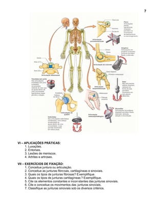 7




VI – APLICAÇÕES PRÁTICAS:
     1. Luxações.
     2. Entorses.
     3. Lesões de meniscos.
     4. Artrites e artroses.

VII – EXERCÍCIOS DE FIXAÇÃO:
      1. Conceitue juntura ou articulação.
      2. Conceitue as junturas fibro sas, cartilagíneas e sinoviais.
      3. Quais os tipos de junturas fibrosas? E xemplifique.
      4. Quais os tipos de junturas cartilagíneas ? Exemplifique.
      5. Cite os elementos constantes e incon stantes das junturas sinoviais.
      6. Cite e conceitue os movimentos das junturas sinoviais.
      7. Classifique as junturas sinoviais sob os diversos critérios.
 