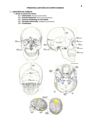 8
                       PRINCIPAIS JUNTURAS DO CORPO HUMANO

I – JUNTURAS DA CABEÇA:
      1. Entre os ossos do crânio:
           1.1 – Internasais: fibrosas suturas planas.
           1.2 – Parieto-temporal: fibrosa sutura escamosa.
           1.3 – Suturas denteadas ou serreadas .
           1.4 – Occipito-esfenoidal: cartilagínea sincondrose.
           1.5 – Fontanelas.
 