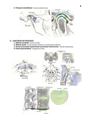 9
     2. Têmporo-mandibular: sinovial condilar (disco).




II – JUNTURAS DO PESCOÇO:
      1. Atlanto-occipital: sinovial condilar.
      2. Atlanto-axial: sinovial trocóide (mediana) e sinoviais planas (laterais) .
      3. Arcos/ processos espinhosos/ processos transversos: fibrosas sindesmoses.
      4. Intercorpovertebral: cartilagíneas sínfise.
 