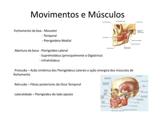 Movimentos e Músculos
Fechamento da boa - Masseter
- Temporal
- Pterigoideio Medial
Abertura da boca - Pterigoideo Lateral
- Suprehioideus (principalmente o Digástrico)
- Infrahióideus
Protusão – Acão simétrica dos Pterigóideus Laterais e ação sinergica dos músculos de
fechamento
Retrusão – Fibras posteriores do Osso Temporal
Lateralidade – Pterigoideu do lado oposto
 