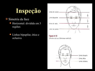 Inspeção
 Simetria da face
 Horizontal: dividida em 3
regiões
 Linhas bipupilar, ótica e
oclusiva
 
