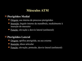  Pterigóideo Medial
 Origem: asa interna do processo pterigóideo
 Inserção: ângulo interno da mandíbula, medialmente à
inserção do masseter
 Função: elevação e desvio lateral (unilateral)
 Pterigóideo Lateral
 Origem: apófise pterigóide, na asa externa
 Inserção: disco articular
 Função: elevação, protusão, desvio lateral (unilateral)
Músculos ATM
 