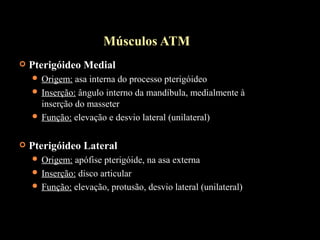  Pterigóideo Medial
 Origem: asa interna do processo pterigóideo
 Inserção: ângulo interno da mandíbula, medialmente à
...
