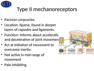 Pacinian Capsule Articular-Neurology......biomechanicspptx.ppt