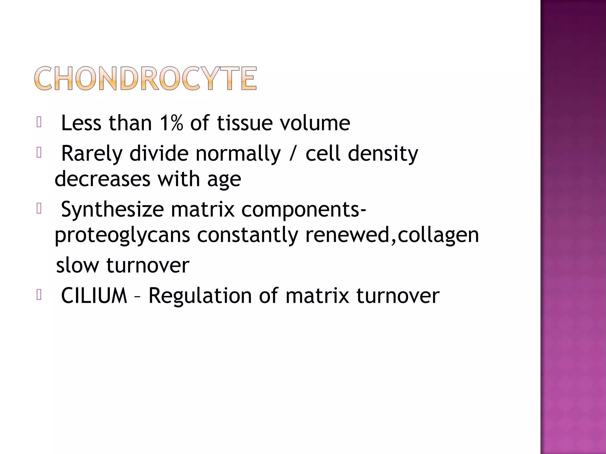     Less than 1% of tissue volume
    Rarely divide normally / cell density
    decreases with age
    Synthesize matrix components-
    proteoglycans constantly renewed,collagen
    slow turnover
    CILIUM – Regulation of matrix turnover
 