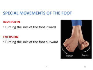 Foot Inward Inversion Articular system.pdf