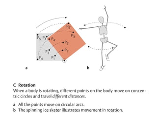 Circular Articular Rotation Example Course in articulations and joints of the human body | PPTX