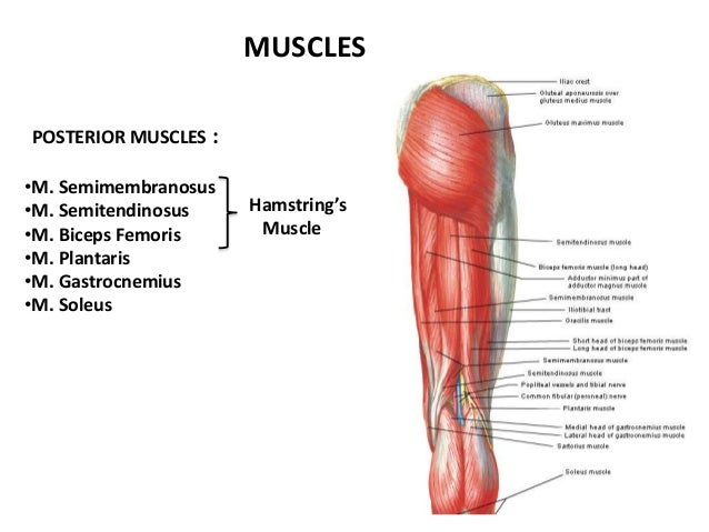 neurological tests