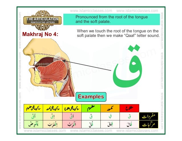 Articulation Points of Arabic Alphabet Letters, Makharij ...