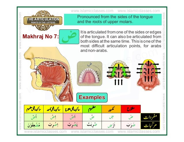 arabic letters makhraj makharij pdf huruf articulation points alphabet jura ernestas senis ir