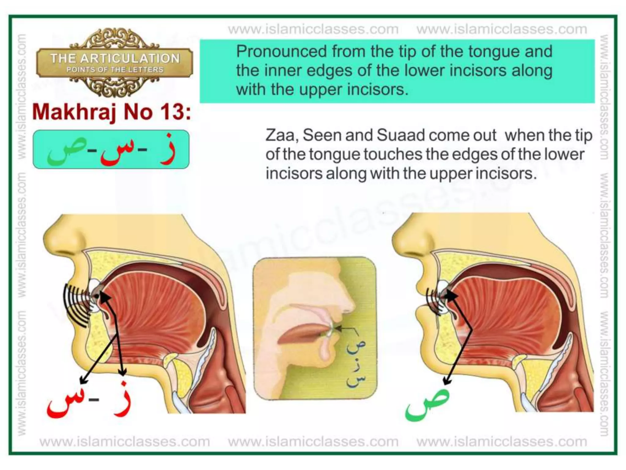 Articulation Points of The Letter - Tajweed Makharij al Huruf pdf | PPTX