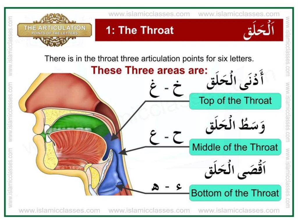Articulation Points of The Letter Tajweed Makharij al Huruf pdf