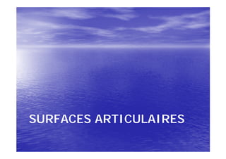 SURFACES ARTICULAIRES
 