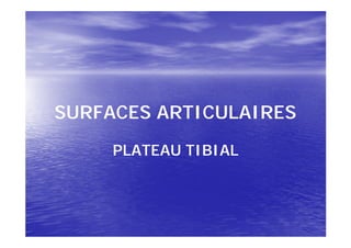 SURFACES ARTICULAIRES

     PLATEAU TIBIAL
 