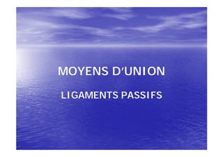 MOYENS D’UNION

LIGAMENTS PASSIFS
 