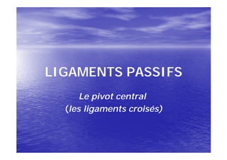 LIGAMENTS PASSIFS
      Le pivot central
  (les ligaments croisés)
 