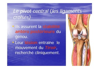 Le pivot central (les ligaments
croisés)
• Ils assurent la stabilité
  antéro postérieure du
  genou.
• Leur lésion entraîne le
  mouvement du Tiroir,
                  Tiroir,
  recherché cliniquement.
 