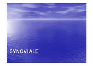 SYNOVIALE
 