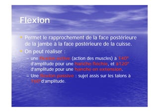Flexion
• Permet le rapprochement de la face postérieure
  de la jambe à la face postérieure de la cuisse.
• On peut réaliser :
  – une flexion active (action des muscles) à 140°
                                                140°
    d’amplitude pour une hanche fléchie, et à120°
                                 fléchie, à120°
    d’amplitude pour une hanche en extension.
                                     extension.
  – Une flexion passive : sujet assis sur les talons à
    160°
    160°d’amplitude.
 