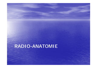 RADIO-
RADIO-ANATOMIE
 