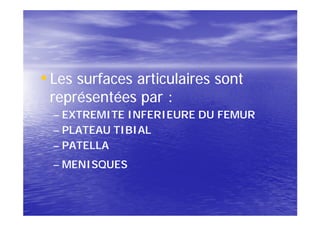 • Les surfaces articulaires sont
 représentées par :
  – EXTREMITE INFERIEURE DU FEMUR
  – PLATEAU TIBIAL
  – PATELLA
  – MENISQUES
 